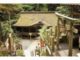 NO JOURNEY NO LIFE 京都第8弾 #118 由比神社