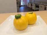 丸ズッキーニ　三浦野菜