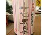 静岡産日本酒「志太泉 山田錦 純米生原酒」を限定入荷！