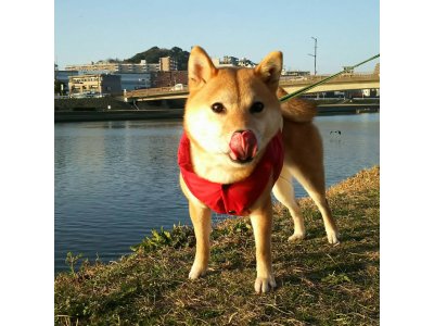 GW休暇のお知らせ