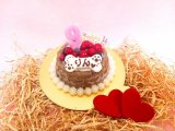 ◆お豆腐ケーキ【ラブリーベリー】◆犬用ケーキ猫用ケーキペット用ケーキ