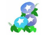 暑中見舞い特別キャンペーン7/25-8/20迄☆彡