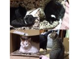 おはようございます。きょうも元気な笑顔でよろしくお願いいたします。