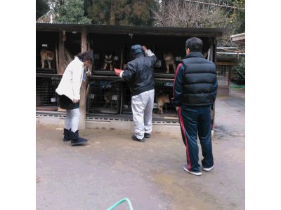 本日は、寒い中　3組のご見学者様が有りました。