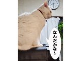 2022.05.02　Monday・・・プーチン、シケタ奴なんだが・・・ 最終兵器の核をちらつかせて・・・