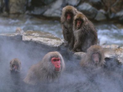 レンタカー高槻、関西お勧め温泉ランキングベストテン。100円レンタカーで温泉に行こう!