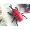 カベオリムシなど景品おもちゃ5点が新入荷しました。