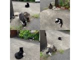 おはようございます。今週も元気な笑顔で頑張りましょう。