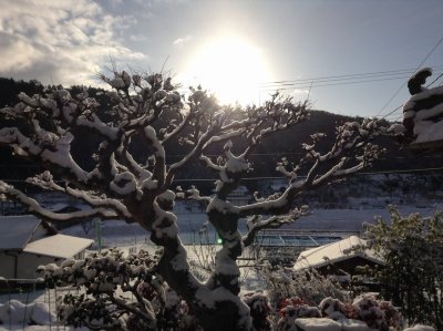 新年おめでとうございます