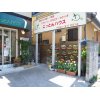 お店のお花たち