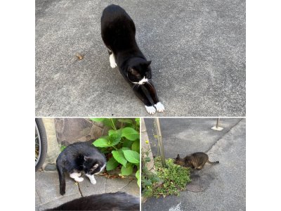 おはようございます。今週も元気な笑顔で頑張りましょう。