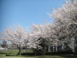 福岡県福岡市中央区発、スタートの春に実施する単身引っ越しは福岡か帽マンサナ・ツー運送、!