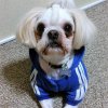 小汰郎♪♪