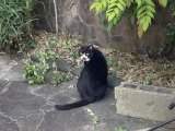 おはようございます。きょうもコロナに負けないハッピーな笑顔で頑張りましょう。