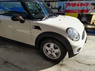ミニ女子ご来店です