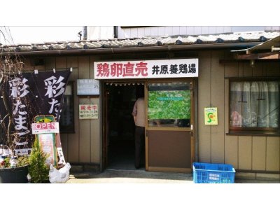新鮮たまご