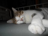 あっという間に、産まれた?感じ・・・・