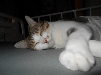 あっという間に、産まれた?感じ・・・・