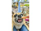 こじろうくん