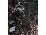 自分に負けるな!(目標へ向けて②)