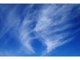 雲