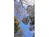 大将のおすすめ☆