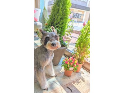 チェルシーちゃん