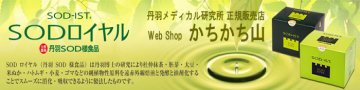 Web Shop かちかち山