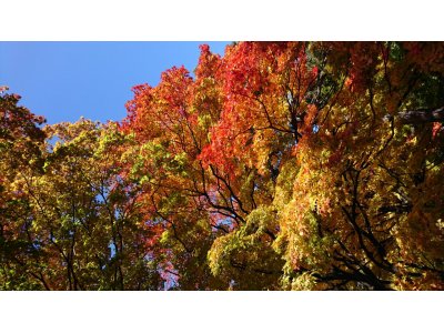 明日24日(火)6時～9時まで貸切です