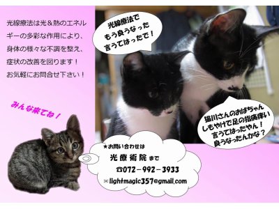 光療術院（ひかりりょうじゅついん）にゃんこ劇場　しもやけも大丈夫