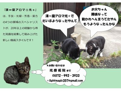 光療術院（ひかりりょうじゅついん）にゃんこ劇場