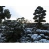 2/5『昨日に続いての積雪2日目』