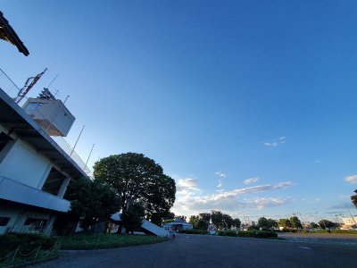 2022.08.19　Friday・・・昨日は、上尾運動公園と業務スーパーに夕方立ち寄ってみたんだがネ・・・