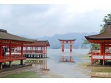 ■厳島神社（世界文化遺産・日本三景）■　2011-12-20