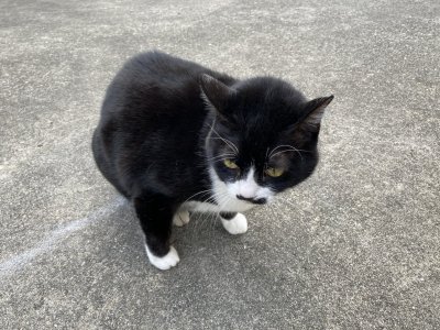 おはようございます。きょうもハッピーな笑顔で頑張りましょう。