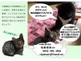 光線療法の多彩な作用で感染症に負けない元気なカラダ作りをしましょう。