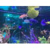【※指圧・整体・マッサージ】むちうち症・リハビリ治療の整骨院☆交通事故・労災は窓口0円！