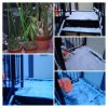 厚別区厚別中央にてお花の水やり 雪かき他　札幌市便利屋タクミ