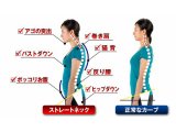 まんまるねこ背と腰痛の関係