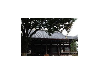 やはり歴史は面白い