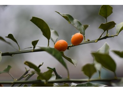 なんだっけ？今日一日は