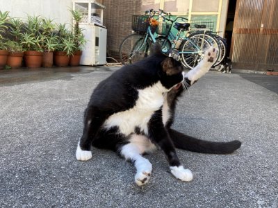 おはようございます。光療術院のみぃこです。