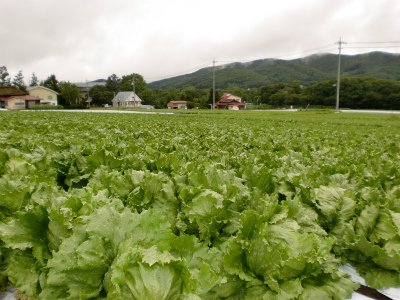 誇大広告じゃないんだけど、勘違いしやすい・・。