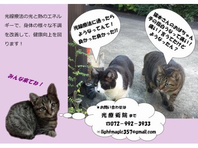 光療術院（ひかりりょうじゅついん）にゃんこ劇場
