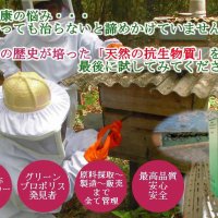 グリーンプロポリス発見者が作る【ブラジル寺尾養蜂プロポリス】