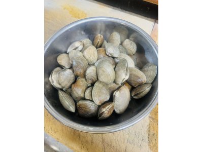 今日も旨いもんしっかり仕入れました