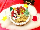 ◆愛犬用クリスマスケーキ☆彡ショコラファンタジー☆彡愛猫用クリスマスケーキ◆ペット用クリスマスケーキ,犬用おやつ,猫用おやつ,ペット用おやつ,無添加
