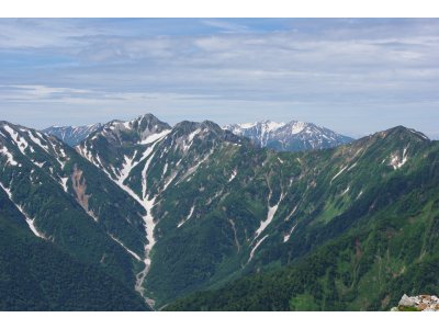 ネギ坊主と思いきや・・