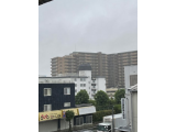 6月に入りました。