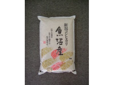 新潟県魚沼産　特選コシヒカリ　玄米５ｋ